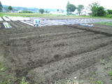 09agri03.jpg
