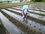 09agri06.jpg