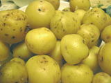 09agri41.jpg