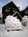 10春の大雪_01.jpg
