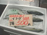 inada1.jpg