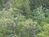 200505231d5d9b41.jpg