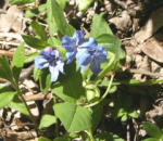 20050526e20a722a.jpg