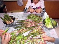 12R؎.jpg