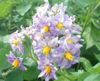 12__09[NC̉.jpg