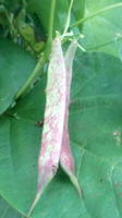 12__16Fhn߂瓤.jpg