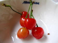 12̂ڂꂳ.jpg