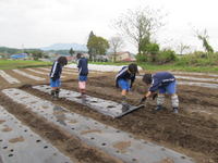 13農業体験 in 信濃町_04.jpg