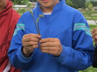 13_Ƒ̌@in@MZ_10.jpg