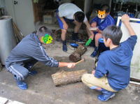 13農業体験 in 信濃町_12.jpg