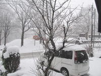 14初雪_01.jpg