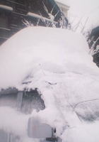 14重い雪に耐えるピクシス君.jpg