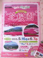 15芝桜のご案内.jpg