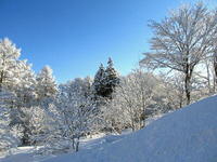 15iF0124_01.jpg