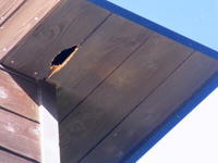 16LccLQ_01.jpg