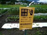 20農園17.jpg