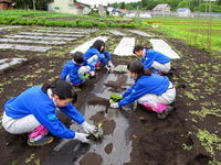 農山村体験_16かぼちゃ植え付け.jpg