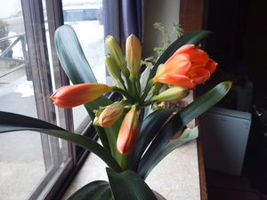 IMG_20150224_131330.jpg