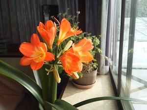 IMG_20150228_082514.jpg